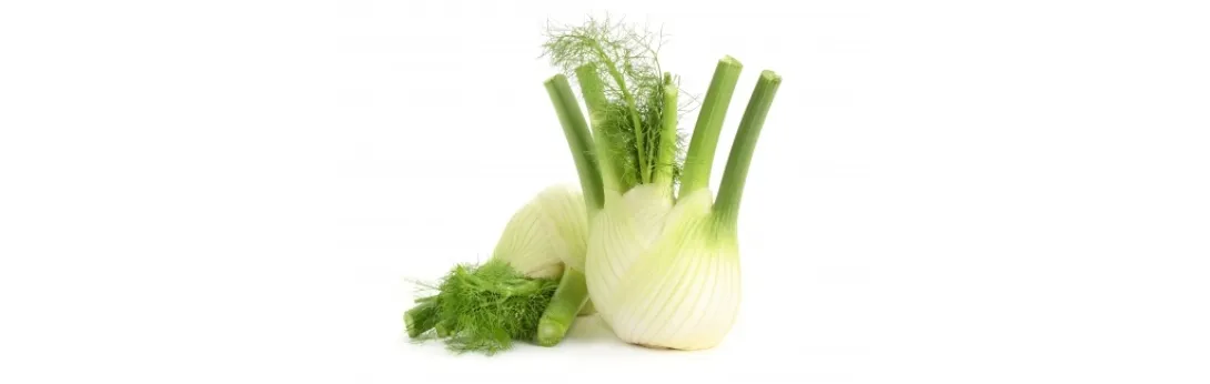 Venkel en vitamine E verlichten menstruatiepijn