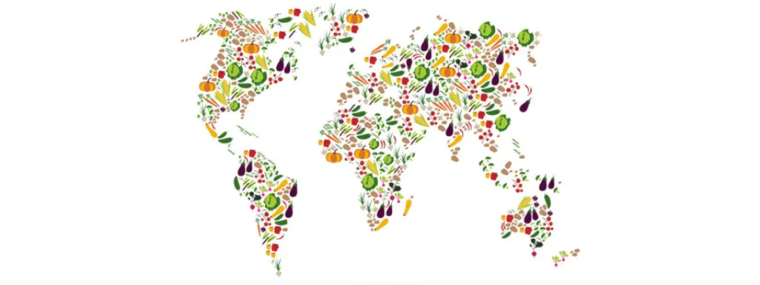 Een vijfde van sterfte is voedselgerelateerd