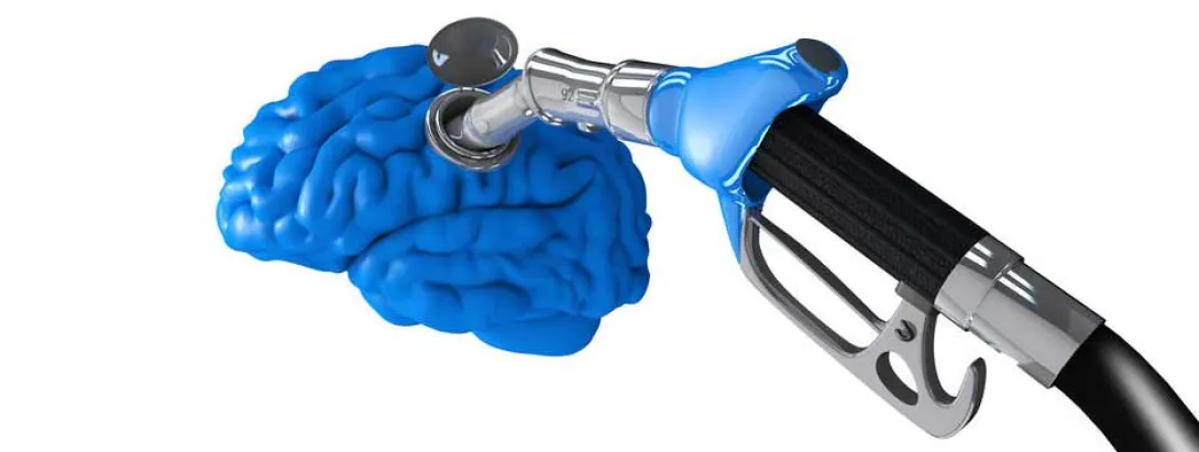 Probiotica verbeteren werkgeheugen bij stress