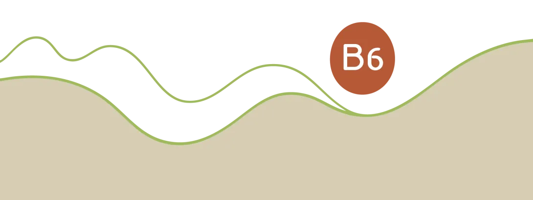 Vitamine B6 anti-emeticum