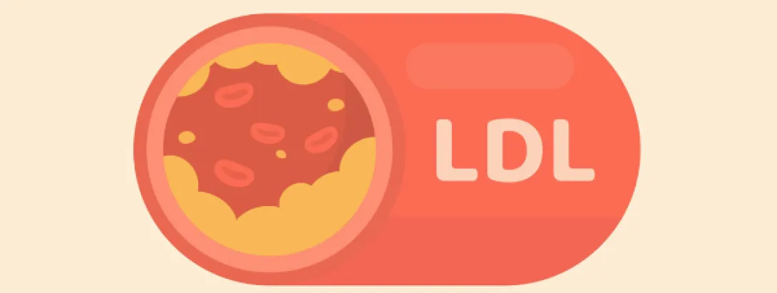 Bètaglucanen verlagen LDL-cholesterol