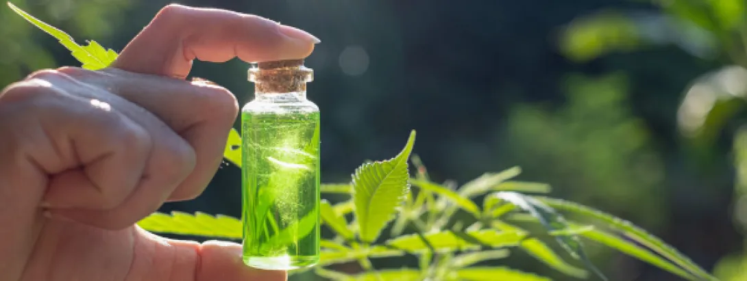 Cannabisolie haalbaar en veilig bij fibromyalgie