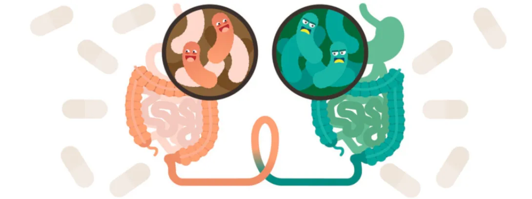 Gunstige resultaten poeptransplantatie bij kinderen met autisme