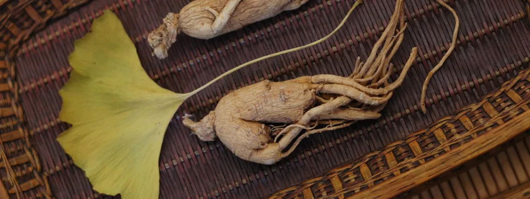 ginko_ginseng