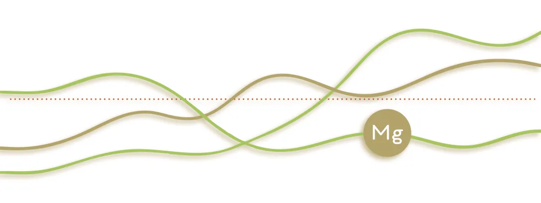 Is de magnesiuminname in Nederland toereikend?