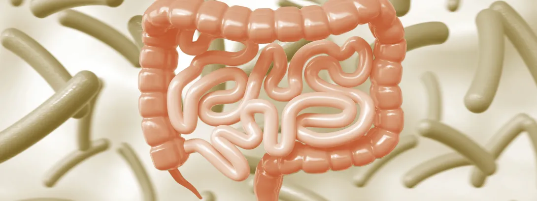 Fytotherapie en het microbioom