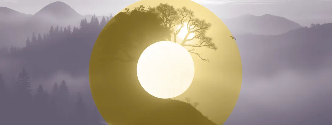 Vele baten van zonlicht